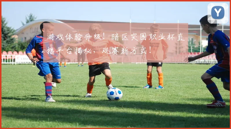 游戏体验升级！暗区突围职业杯直播平台揭秘，观赛新方式！